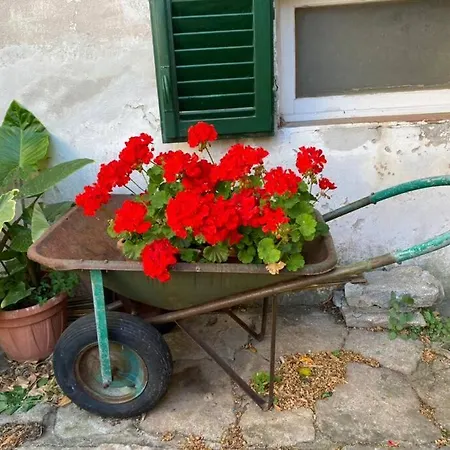 Casa Incantevole A Poggio * Marciana (Isola d'Elba)